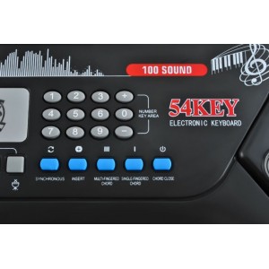 Bērnu sintezators ar mikrofonu, USB, 54 KEYS, 328-02, 00008238