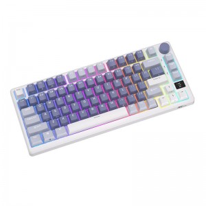 Royal Kludge Mehāniskā tastatūra Royal Kludge RKM75 RGB, Sudraba slēdzis (zils)