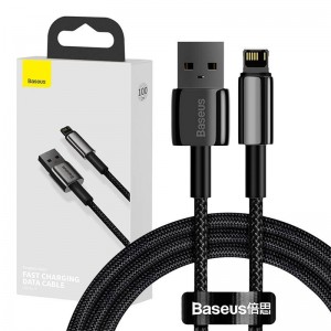 Baseus CALWJ-01 Tungsten Gold USB - Lightning Кабель 1m