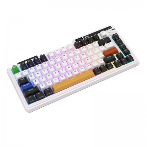 Royal Kludge Mehāniskā tastatūra Royal Kludge KZZI K75 pro RGB, Eternity Switch (melnbalts)