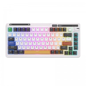 Royal Kludge Mehāniskā tastatūra Royal Kludge KZZI K75 pro RGB, Eternity Switch (melnbalts)