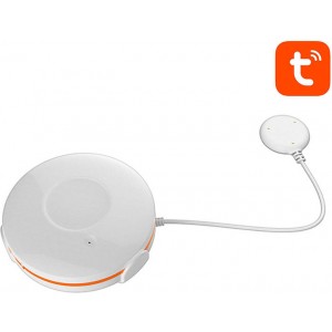 NEO NAS-WS02B TUYA ZigBee Smart Mitruma sensors