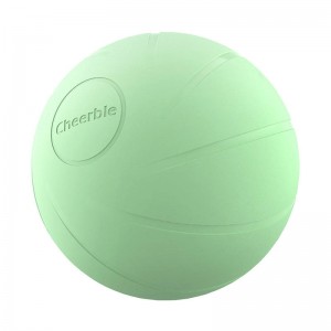 Cheerble Interactive Pet Ball Cheerble Ball PE (Green)