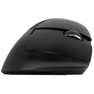 Delux M618Mini Wireless Mouse