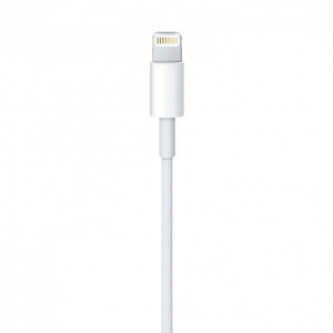 Apple cable USB-A - Lightning 1m white (MXLY2ZM/A) (universal)