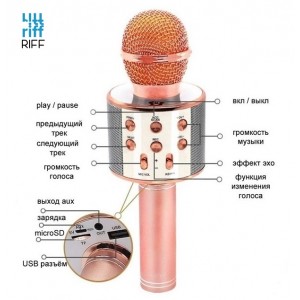 Riff WS-858 Karaoke Mikrofons ar Skaļruņi Aux un Micro SD Rose Gold