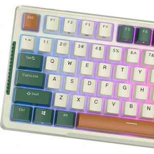 Royal Kludge Mechanical keyboard Royal Kludge RKH81 RGB, Sky cyan switch (green)