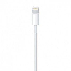 Apple cable USB-A - Lightning 2m white (MD819) (universal)