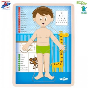 Woody 91922 Деревянная обучающая головоломка - Человеческое тело Девочка (EN версия) (12шт.) для детей от 3 лет (22.5x30x0.8см)