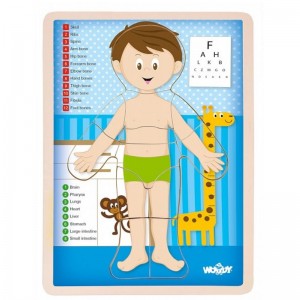 Woody 91922 Eko koka attīstošā puzle - Cilvēka ķermenis Zēns (EN versija) (12gab.) bērniem no 3 gadiem + (22.5x30x0.8см)