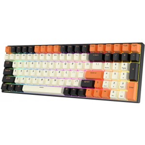 Royal Kludge Mechanical keyboard Royal Kludge RK100 RGB, brown switch (black-orange)