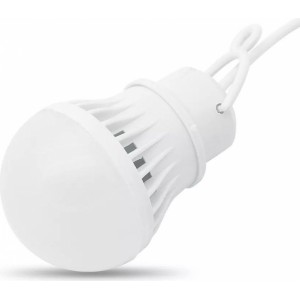 OEM LED bulb to USB A warm white light 200 lm 3W 1 m white