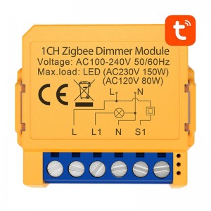 Avatto Smart socket switch ZigBee Avatto ZDMS16-1 TUYA