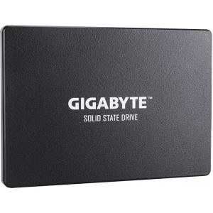 Gigabyte 256GB 2.5