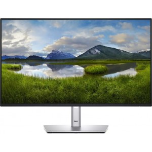 Dell P2425HE Monitors 24