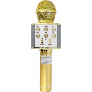 OEM Multimedia karaoke microphone CR58 gold