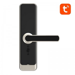 Avatto SDL-A270-S digital smart lock -5572 Wi-Fi Silver