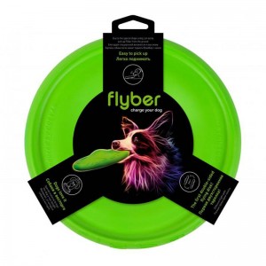 Waudog Double-sided flying disc Flyber Waudog 22 cm, light green