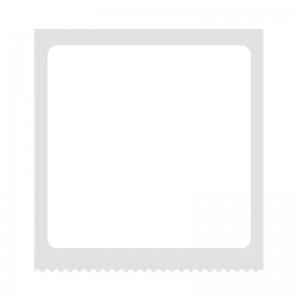 Niimbot Thermal labels Niimbot stickers  T 40x40mm 180 psc (White)