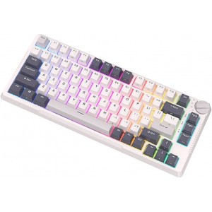 Royal Kludge Mechanical keyboard Royal Kludge RKH81 RGB, Sky cyan switch (white)