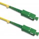 Qoltec Patchcord fiber optic SC/APC - SC/APC | Singlemode | 9/125 | G652D | Simplex | 2m