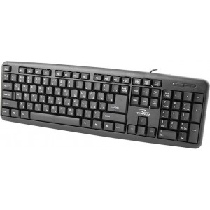 Esperanza TKR101 Titanium USB keyboard (russian layout)