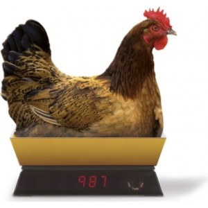 Viceversa Kitchen Scale 5kg gold 12982