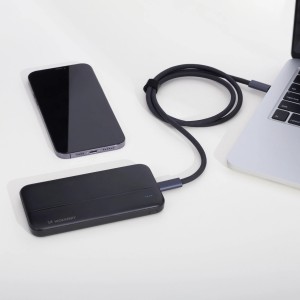 Wozinsky powerbank Li-Po 10000mAh 2 x USB black (WPBBK1)