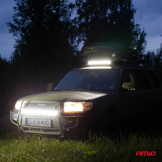 LED darba lukturis 60 cm, 9-36V, 120W, 6000-6500K, 12000lm, IP67, Amio AWL24, 02438