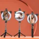 Telefona statīvs selfie stick, tripods ar pulti un riņķa lampu, P40D-3 melns, UCH000639