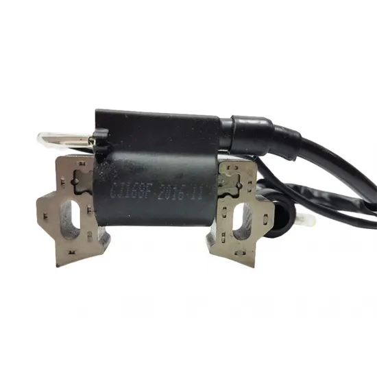 Катушка зажигания мотора 6.5HP M79852
