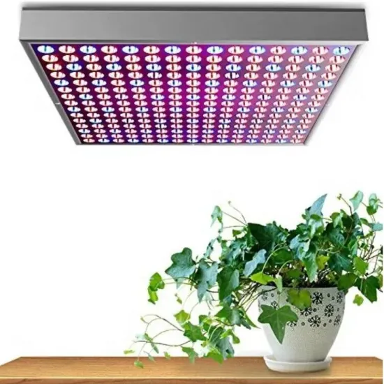 Lampa augu audzēšanai, 225 LED, 36W, 310 x 310 x 35 mm, 00016347