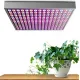 Lampa augu audzēšanai, 225 LED, 36W, 310 x 310 x 35 mm, 00016347