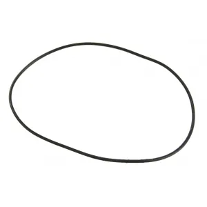 Резиновое уплотнение для бензонасоса 2 дюйма, M79920121