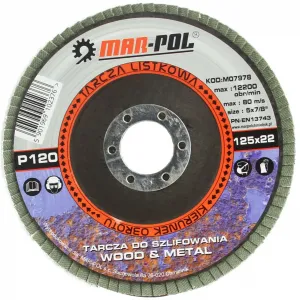 Диск шлифовальный веерный D125x22.2 mm, P120,M07978