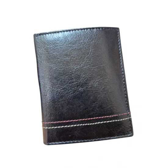 Vīriešu naudas maks, āda, Always Wild N20197-VTK-D Black